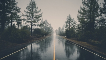 Trips and umbrellas